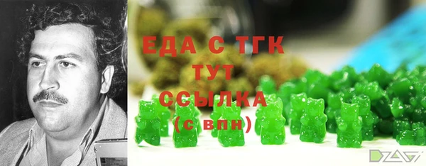 дурь Гусиноозёрск