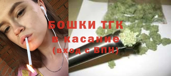 дурь Гусиноозёрск