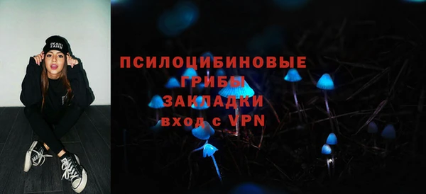 стаф Слюдянка