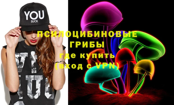 дурь Гусиноозёрск