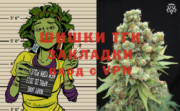 дурь Гусиноозёрск