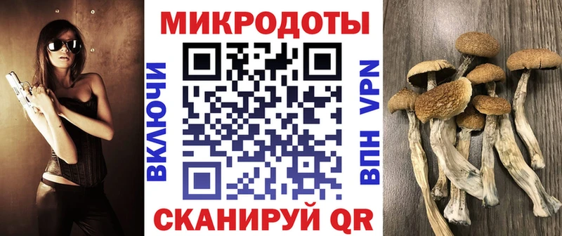 Галлюциногенные грибы Cubensis  магазин  наркотиков  Брянск 